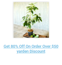 yarden Discount